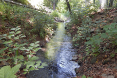 Der Duffesbach in Hürth-Knapsack, Bild: Andy Ramacher