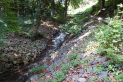 Der Duffesbach in Hürth-Knapsack, Bild: Andy Ramacher