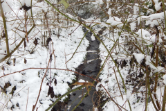 Der Duffesbach in Hürth-Knapsack, Bild: Andy Ramacher