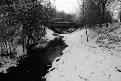 Der Duffesbach in Hürth-Knapsack, Bild: Andy Ramacher