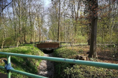 Der Duffesbach, Bild: Elisabeth van Langen