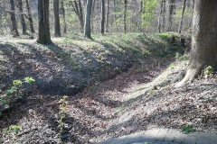 Der Duffesbach, Bild: Elisabeth van Langen